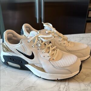 Nike Air Max Sneakers